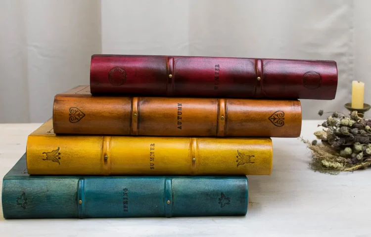 4 LIBROS ESTACIONES AMY (3 de 6) (1)