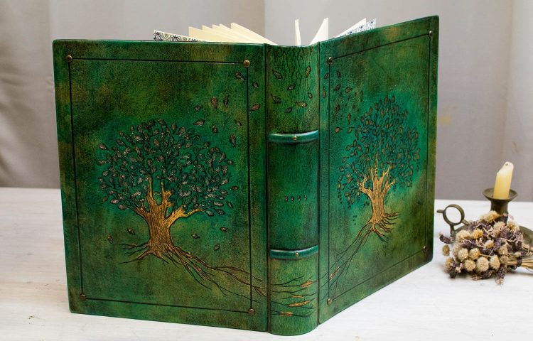 ADELA ALBUM DOS ENCINAS (4 de 12) (1)