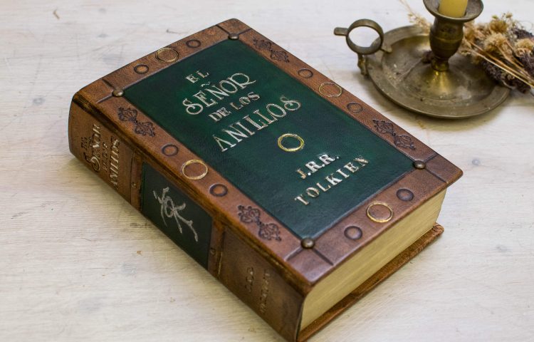 EL SEÑOR DE LOS ANILLOS (1 de 7)