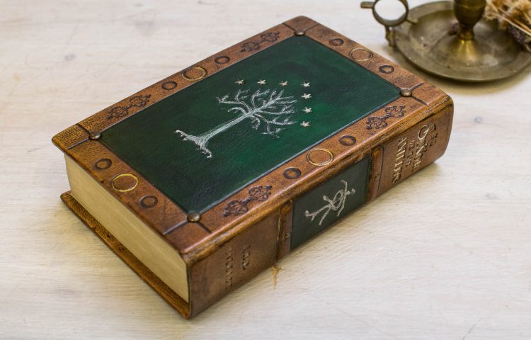 EL SEÑOR DE LOS ANILLOS (5 de 7)