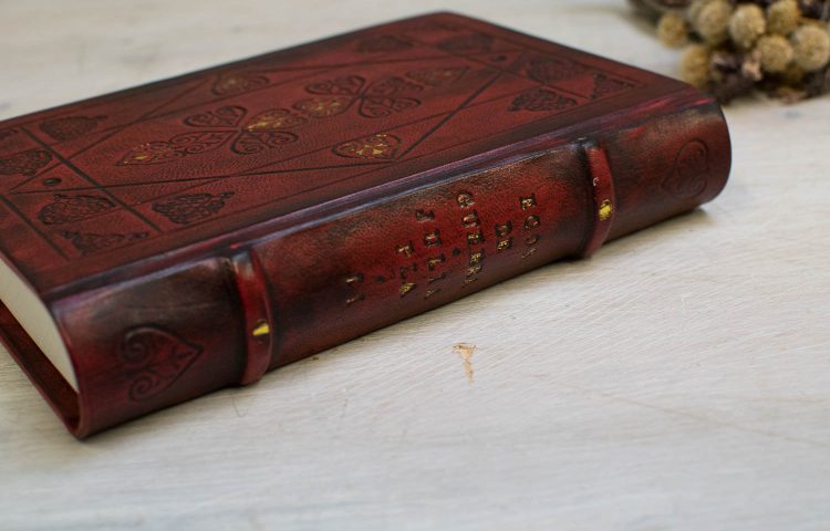 JULIA PLA BORGOÑA (3 de 5)