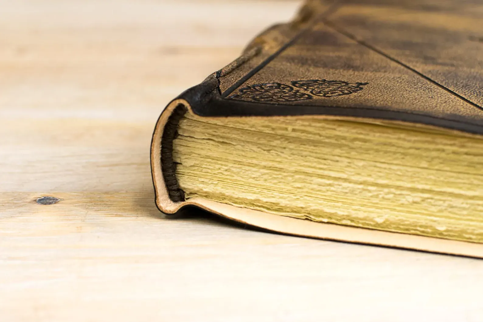 imgi_322_il_1588xN.1292894470_rq64