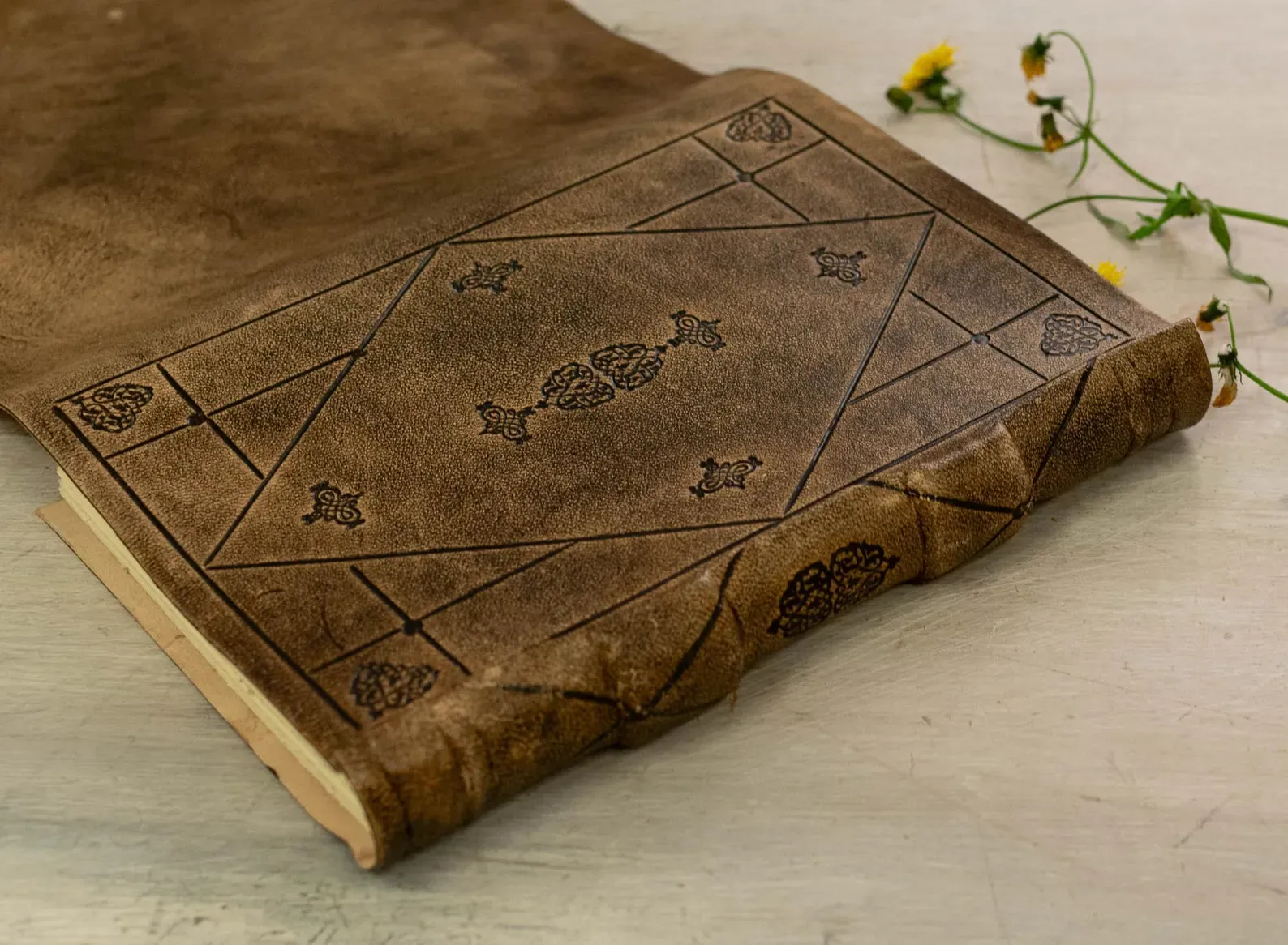 imgi_330_il_1588xN.7059547988_4wv7